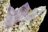 Stunning, Amethyst Crystal Cluster - Las Vigas, Mexico #165627-1